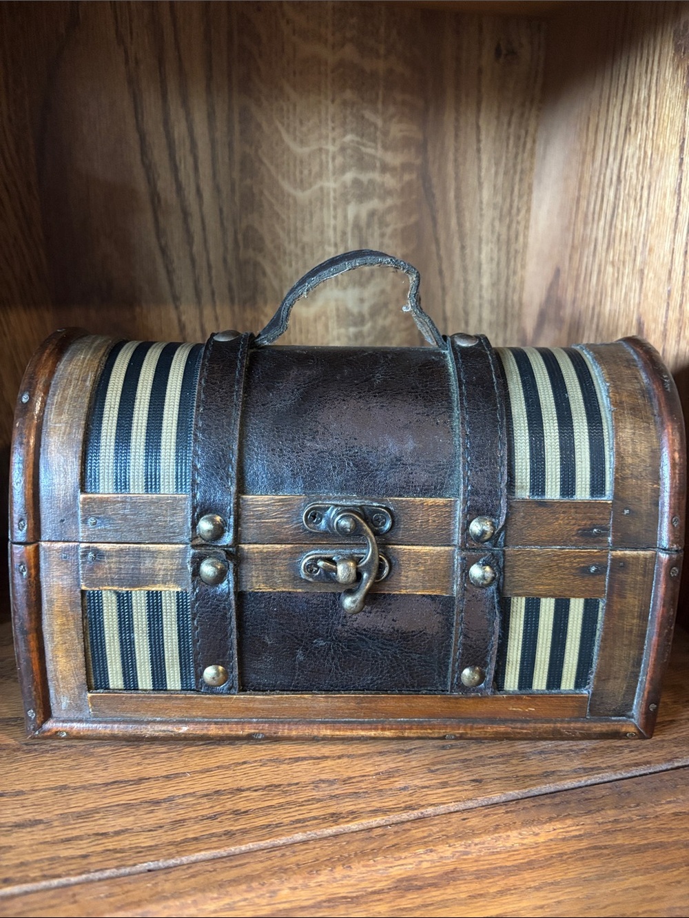 Vintage Brown and Black Travel Chest Bag